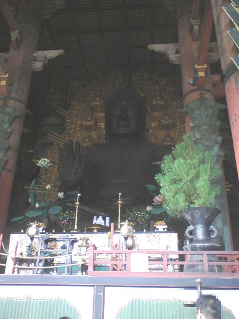 080923東大寺大仏さん.JPG