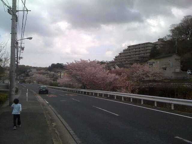 100411大渕池公園へ1.jpg