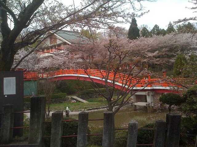 100411大渕池公園へ10.jpg