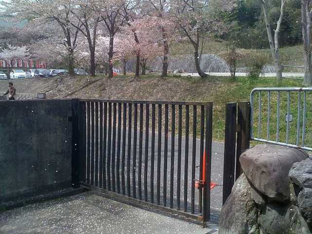 100411大渕池公園へ11.jpg