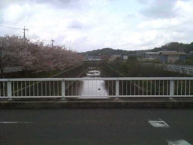 100411大渕池公園へ2.jpg