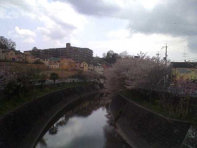 100411大渕池公園へ3.jpg