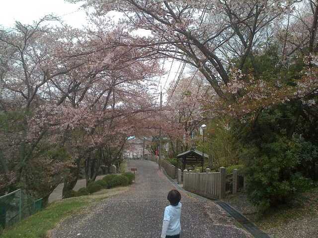 100411大渕池公園へ9.jpg