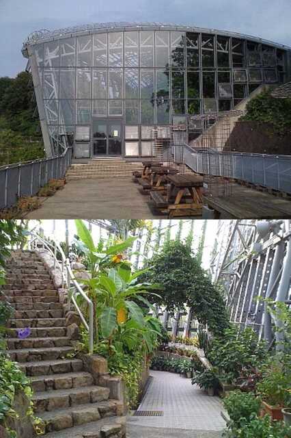 100725_橿原市昆虫館_放蝶温室.jpg