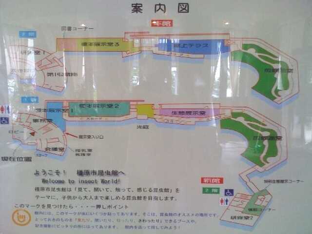100725_橿原市昆虫館_案内図.jpg