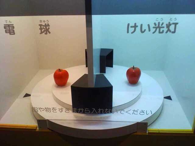 100801_橿原子供科学館7_光の見え方.JPG