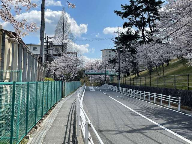 20220404_桜_小学校脇2.JPEG