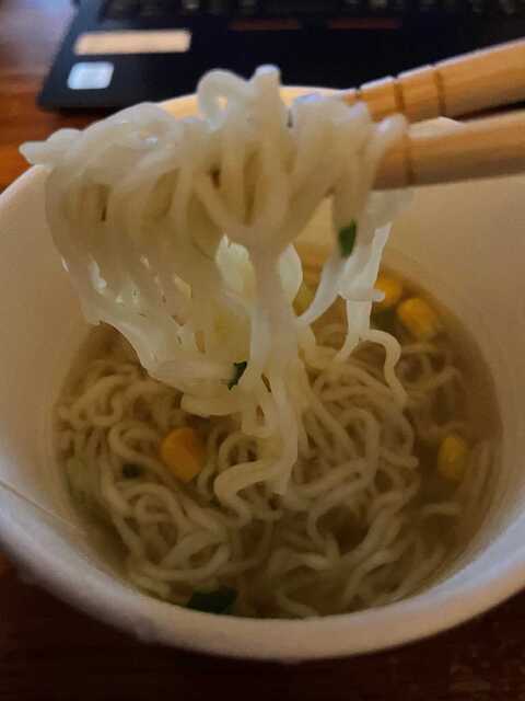 20220426_IKEA PLANT RAMEN6.JPEG