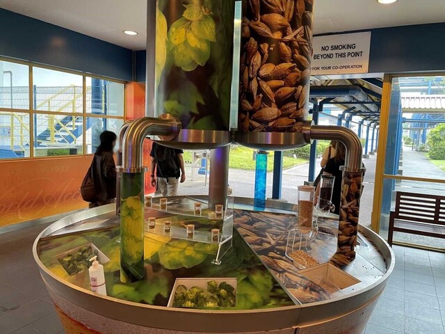 20220904_TigerBeerツアー4.JPG