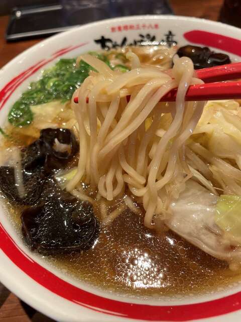 20240123_ちゃんぽん亭淡路町店_ちゃんぽん麺リフト.jpg