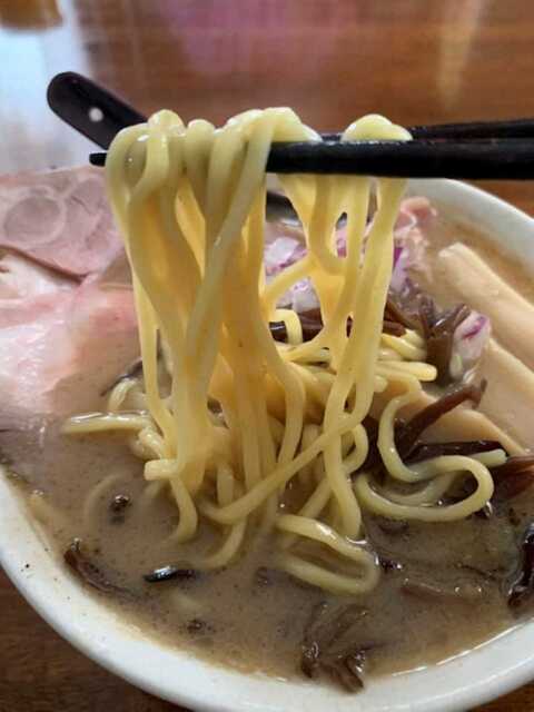 魚介豚骨_麺アップ.jpg