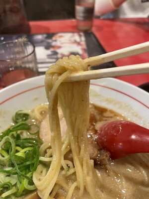 20241128_らーめん一作門真店_濃厚こってりらーめんLv1_麺リフト.JPG
